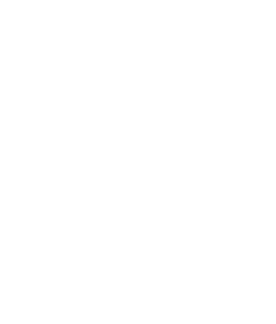 Logo Brivino